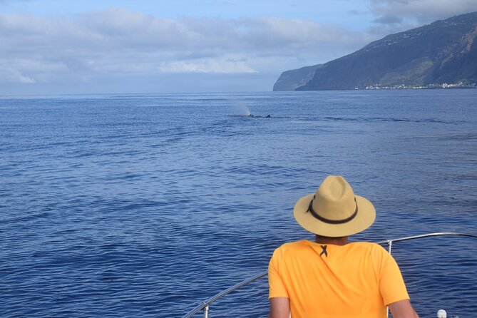 Whale and Dolphin Watching Tour in Madeira - Customer Reviews