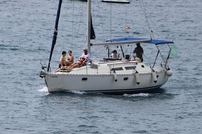 Whale & Dolphin Watching Boat Trip in Tenerife On a Sailing Boat (3 Hr) - Additional Information