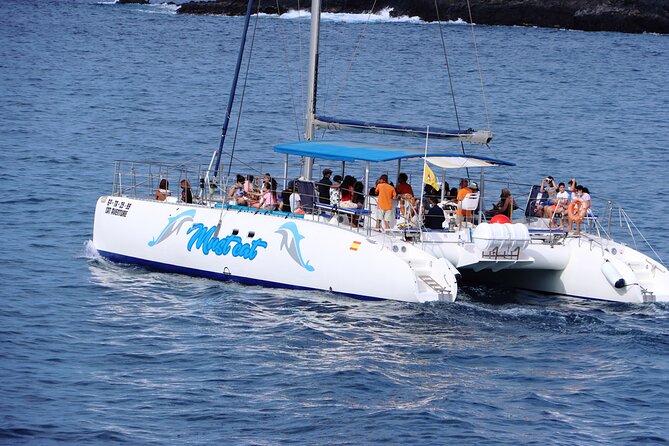 Whale & Dolphin Watching With Mustcat Virgin Coast Trip On a Large Catamaran - Expectations and Policies