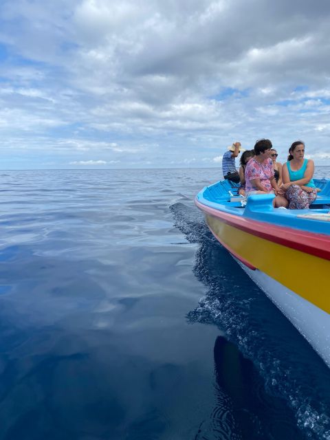 Whale Memory - Unforgetable Ride in the Waters of Pico - Nature Connection and Whale Memories