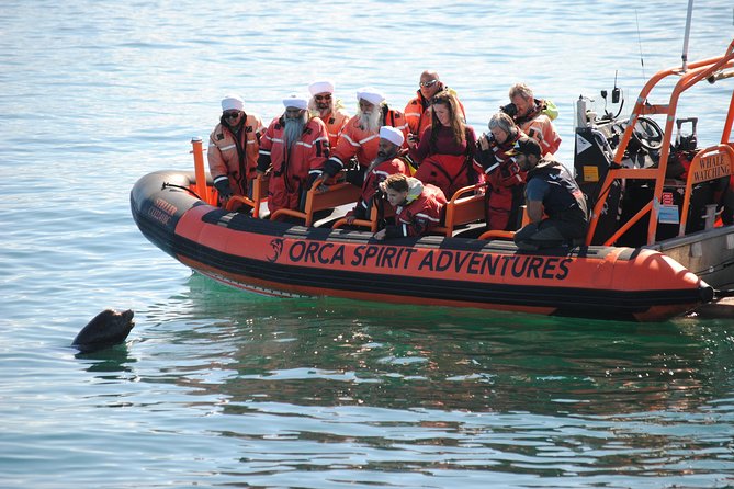 Whale Watching Tour in a Zodiac Boat in Victoria - Customer Reviews