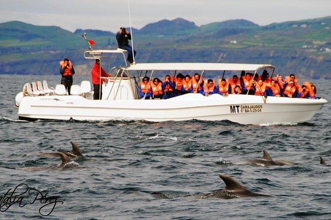 Whales and Dolphins Vila Franca Islet (Full Day With Lunch) - Directions