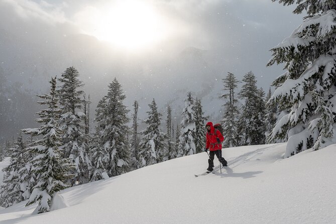 Whistler Backcountry Skiing and Splitboarding - Requirements and Expectations