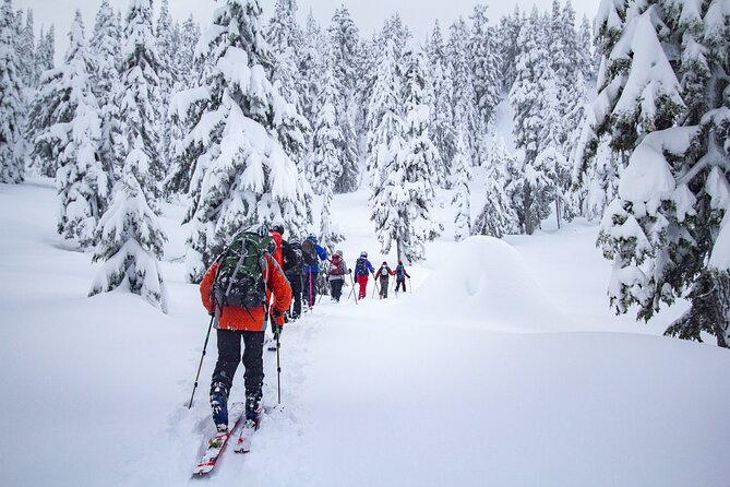 Whistler Intro to Backcountry Skiing and Splitboarding - Training and Preparation for Splitboarding