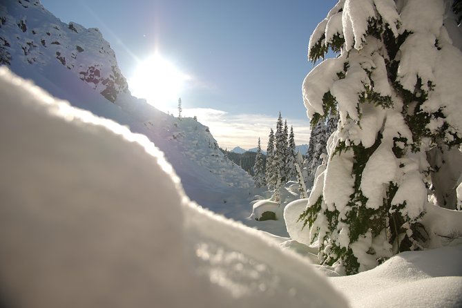 Whistler Small-Group Full-Day Snowshoe Tour - Pricing and Discounts