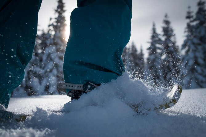 Whistler Snowshoeing Adventure - Old-Growth Forest Trek