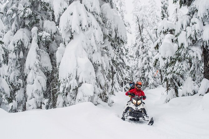 Whistler Wilderness Run Snowmobile Tour - Overall Experience