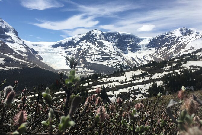 Wilcox Pass - Hiking Tips