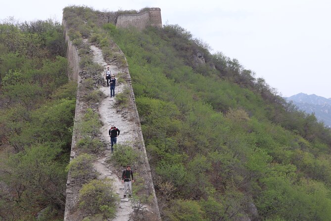 Wild Great Wall Hikes - Best Wildlife Spotting Areas