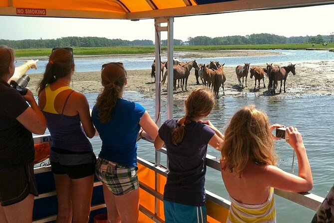 Wild Pony Watching Boat Tour From Chincoteague to Assateague - Customer Experiences and Reviews