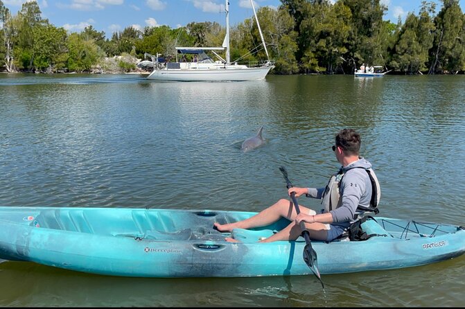 Wildlife Refuge Sunset Dolphin, Manatee & Mangrove Kayak or Paddleboarding Tour! - Customer Reviews and Ratings