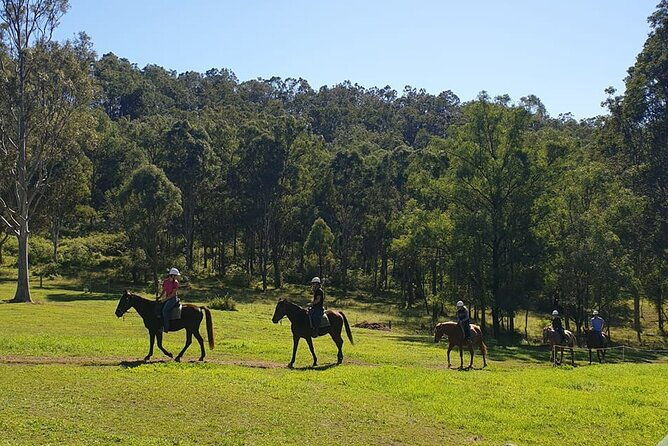 Wine and Horses A Day Out of Sydney City - Guided Tour of Historic Wineries