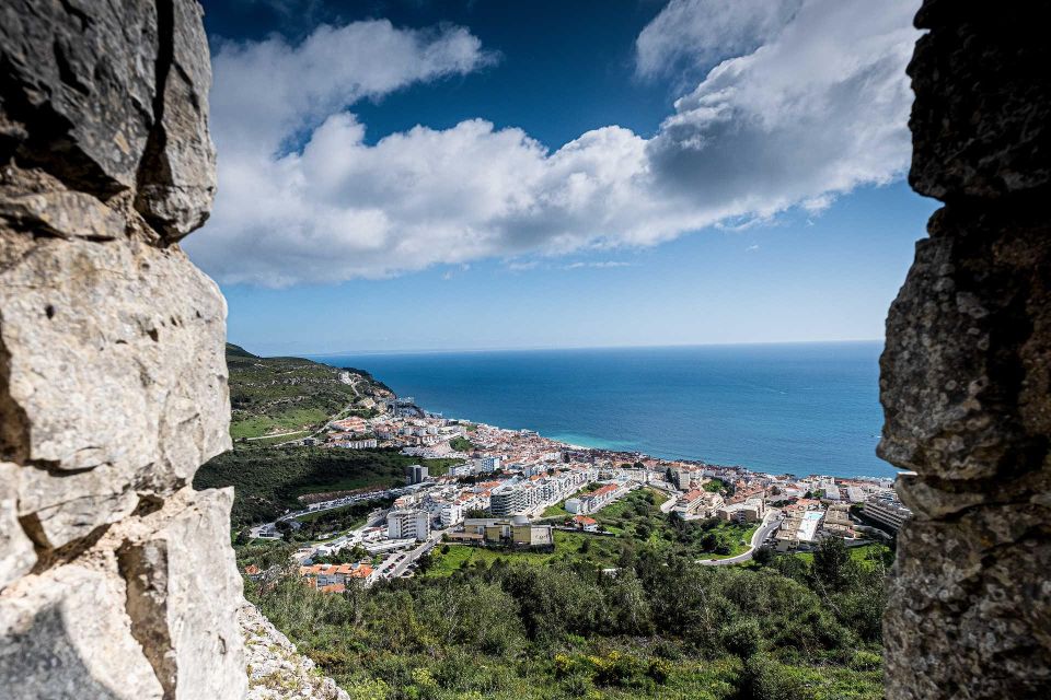 Wine Experience in Setúbal: Discover Flavors and Landscapes - Inclusions Provided