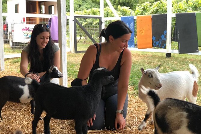 Wine Tasting and Nigerian Dwarf Goats Experience - Participant Expectations and Requirements