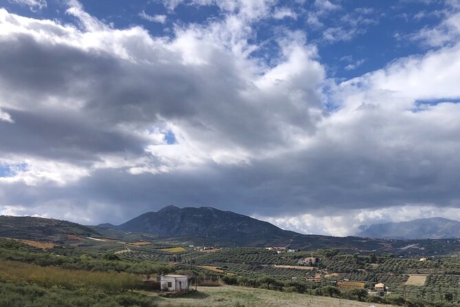 Wine Tasting Experience of Cretan Wines With a Wine Pro - Tasting Techniques and Tips