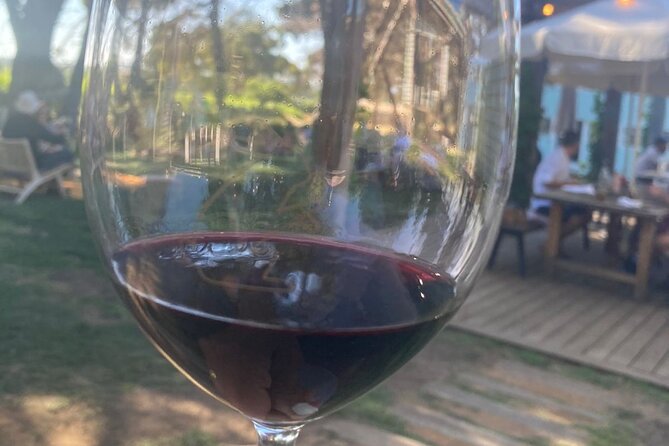 Wine Tasting in McLaren Vale - Wine Varieties and Tasting Notes