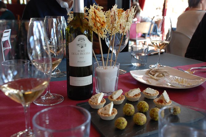 WINE TOUR PRIORAT: Visit 2 Top Wineries, Wine Tasting & Gourmet Lunch - Wine Tasting Experience