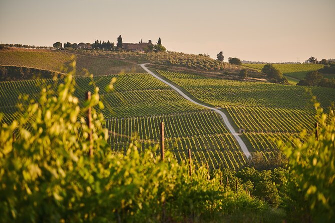 Wineries Tour and Wine Tastings in Chianti Hills From Florence - Customer Support