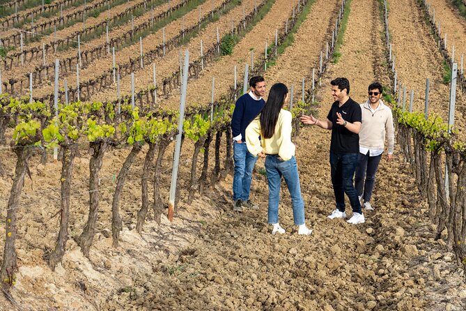 Winery Experience, Sintra & Pena Palace With Wine Tasting - Overall Customer Experience
