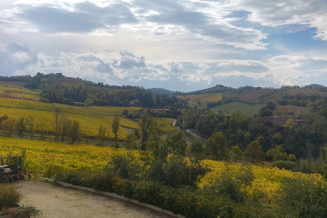 Winetour and Tasting on Bologna Hills, Guided by the Wine Grower - Cancellation Policy