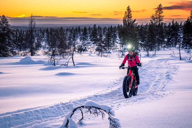 Winter Afternoon Group Ride in Saariselkä - Gear and Equipment Essentials