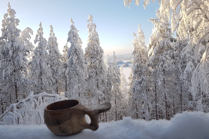 Winter Forest Ride With Snow Sledge in Finland - Common questions