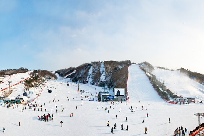 Winter Fun at Vivaldi Ski Resort With Romantic Winter Scenery at Nami Island - Inclusive Package Details