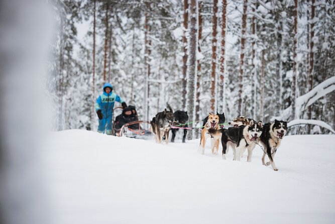 Winter Highlights: Snowmobile, Arctic Animals and Santas Village - Essential Winter Gear