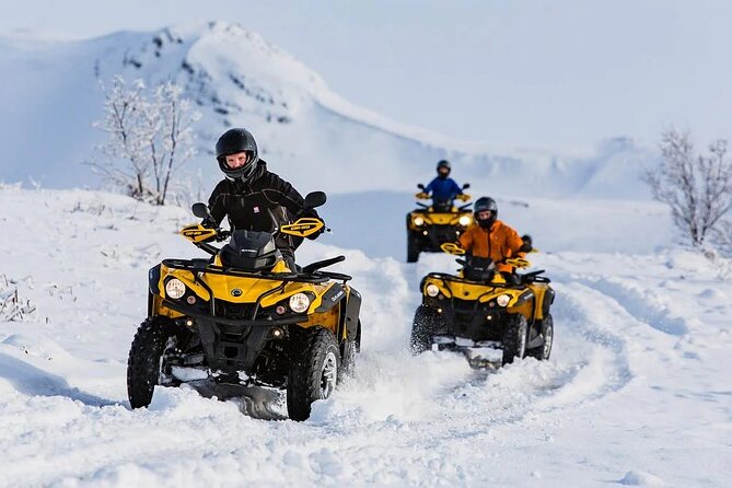 Winter Quad Bike Ride in the Arctic Circle From Rovaniemi - Common questions