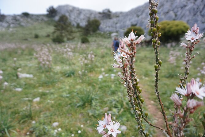 Winter Season Hiking at Mount Akramitis - Post-Hiking Activities and Relaxation