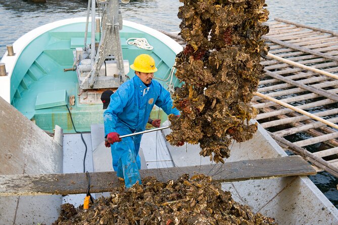 Witness an Oyster Harvest & Interact With Local Oyster Farmers! - Participant Guidelines