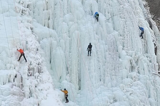 Wondae-ri Birch Forest and In-je Maebawi Icewall Full Day Tour - Refund Policy