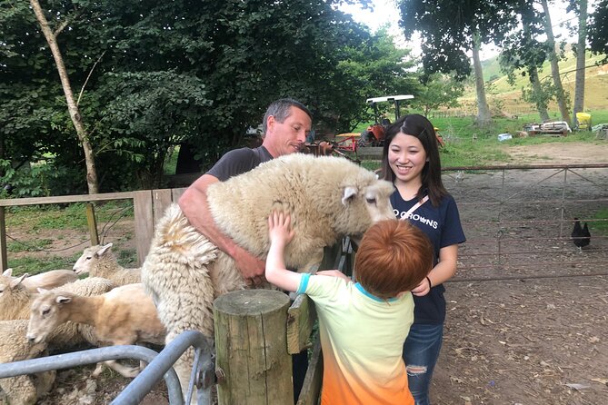 Wool Sheep Farm Experience With Handmade Wool Hat in New Zealand - Inclusions