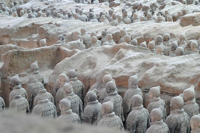 Xian Expert Tour of Terracotta Warriors Museum in Half Day - Museum Exploration