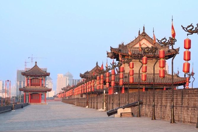 Xian Small Group Day Tour:Terracotta Army, Big Wild Goose Pagoda and City Wall - Customer Reviews