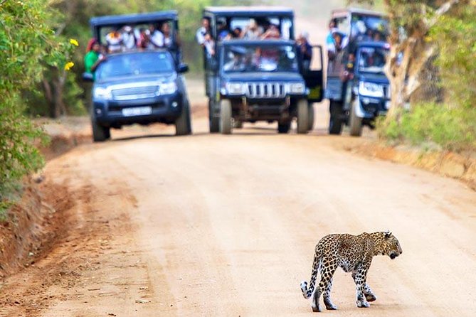 Yala National Park Safari Experience From Galle Including Lunch at a Campsite - Pickup Information