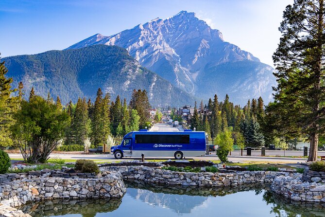 Year Round Tour: Banff and Its Wildlife - Pricing and Availability