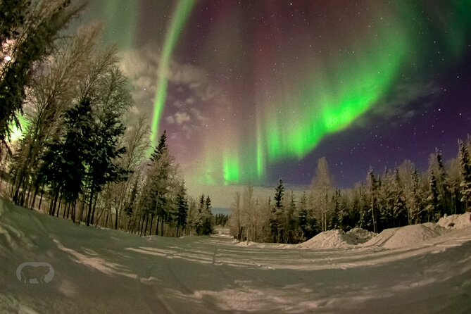 Yellowknife 2 Nights Aurora Hunting and Viewing in Lakeview Cabin - Location Information
