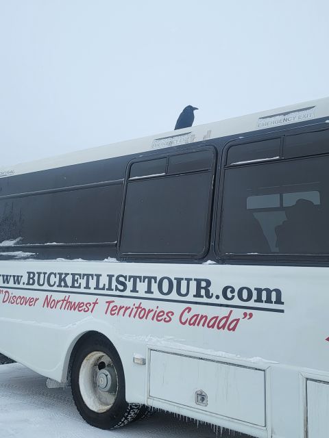Yellowknife: Bison Highway Road Tour - Experience Inclusions