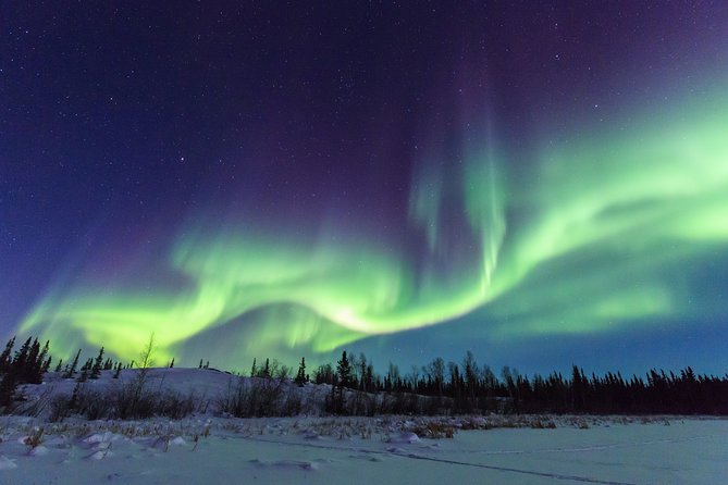 Yellowknife Tours - Aurora by Bus - Tour Expectations