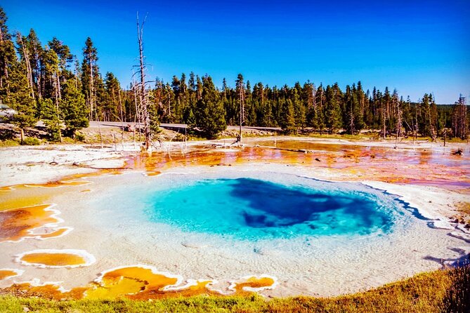 Yellowstone National Park 6-Day Tour From Vancouver (Chn&Eng) - Highlights and Attractions