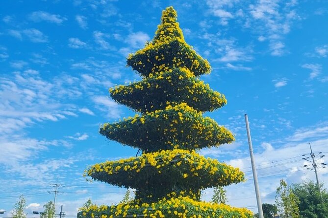 Yeoncheon Chrysanthemum Festival - Pyeongtaek Departure - Inclusions and Highlights