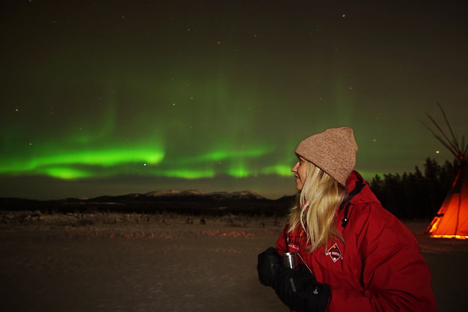 Yukon: Aurora Borealis Evening Viewing Tour - Traveler Reviews