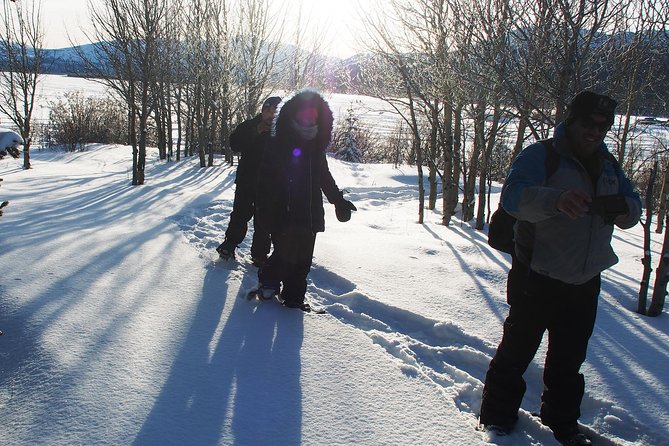 Yukon Ice Fishing & Snowshoeing Tour Half Day - Winter Wildlife Viewing