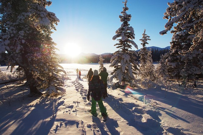 Yukon Snowshoeing Adventure Half Day - Accessibility Information