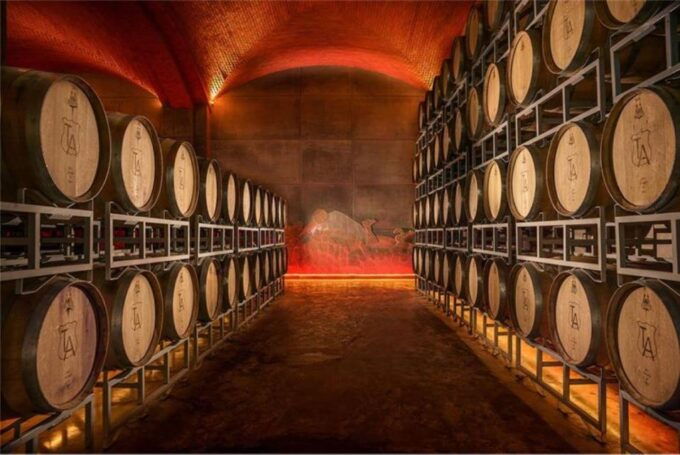 Zacatecas: Campo Real Winery Tour - Last Words