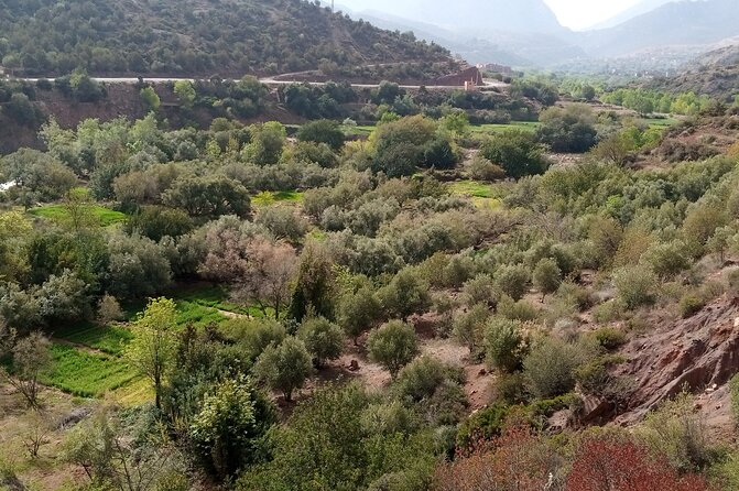 Zat Valley and Atlas Mountains Private Day Trip From Marrakech - Cancellation and Refund Policies