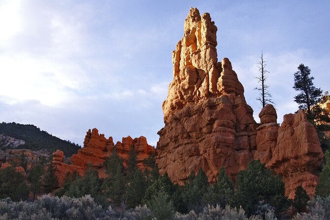 Zion and Bryce Canyon National Park Small Group Tour - Service Quality