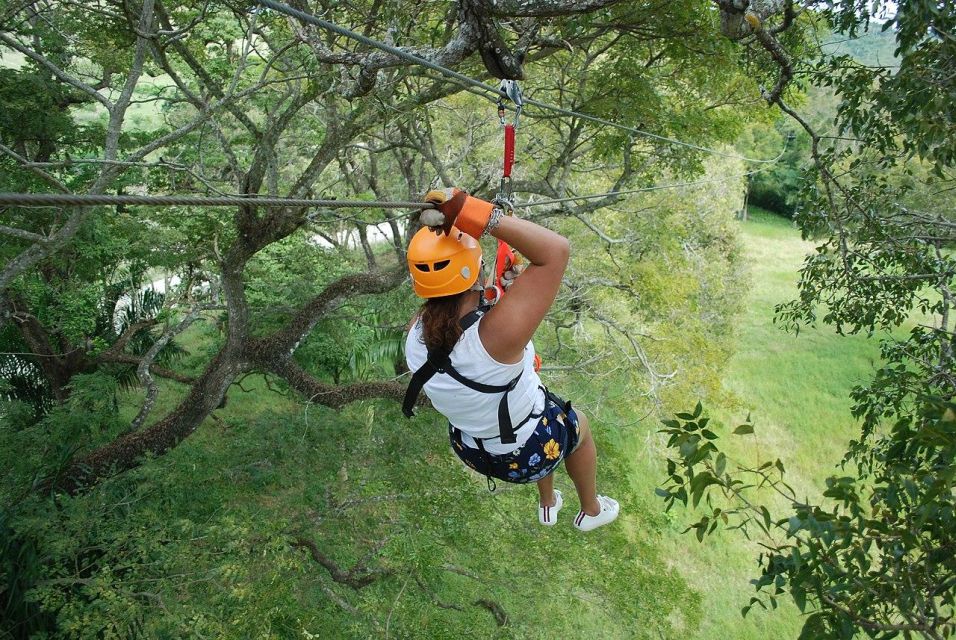 Zip-Line Outdoor Adventure the Ultimate Experience - Safety and Security