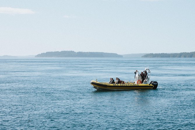 Zodiac Whale Watching Adventure From Telegraph Cove - Meeting Point and Logistics